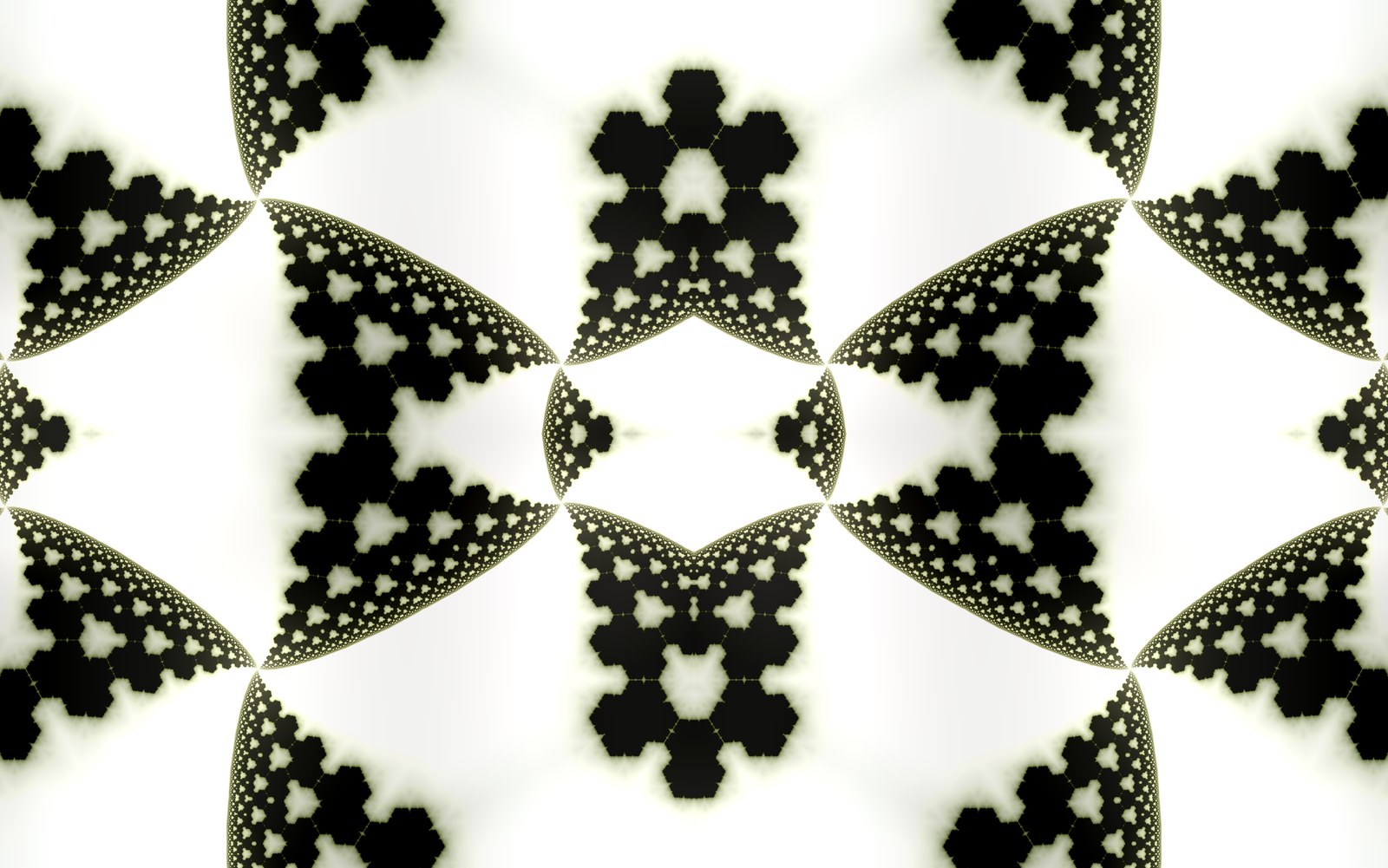 Onyx Wing