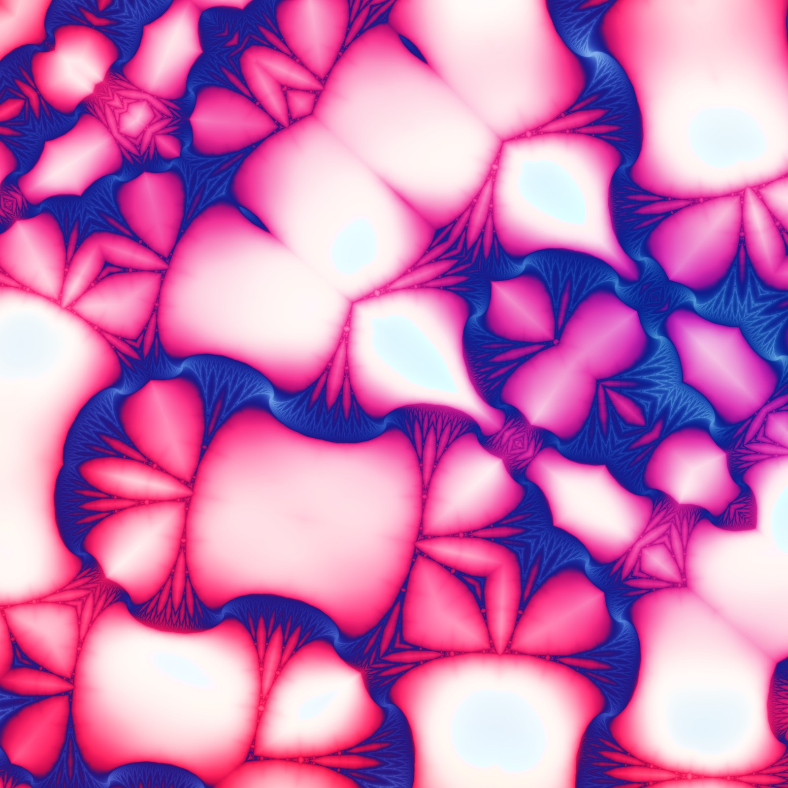Magma