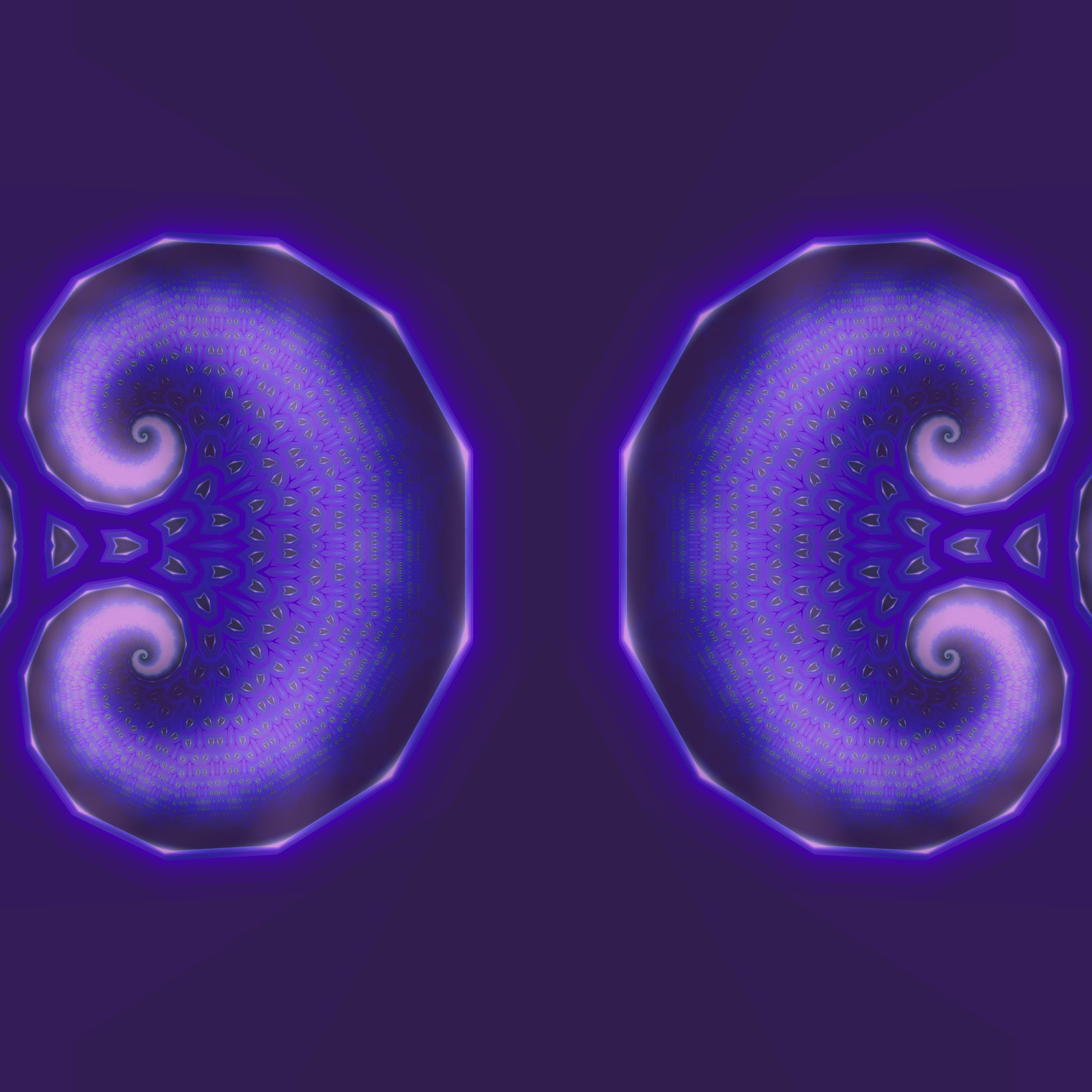 Shell Spiral