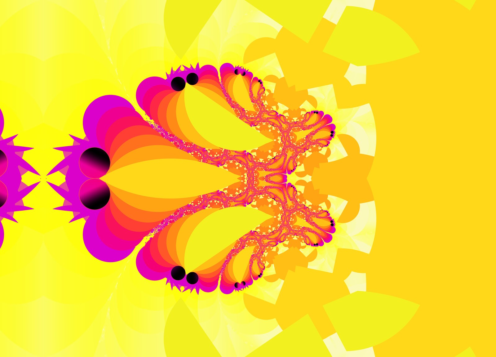 Saffron Bloom